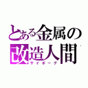 とある金属の改造人間（サイボーグ）