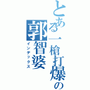 とある一槍打爆の郭智婆（インデックス）