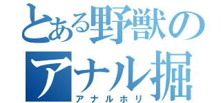 とある野獣のアナル掘り（アナルホリ）