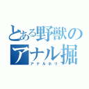 とある野獣のアナル掘り（アナルホリ）