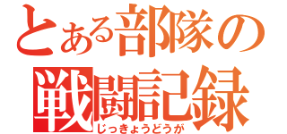 とある部隊の戦闘記録（じっきょうどうが）