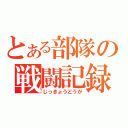 とある部隊の戦闘記録（じっきょうどうが）