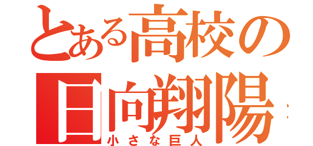 とある高校の日向翔陽（小さな巨人）