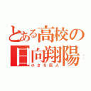 とある高校の日向翔陽（小さな巨人）