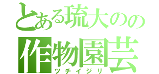 とある琉大のの作物園芸（ツチイジリ）