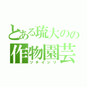 とある琉大のの作物園芸（ツチイジリ）