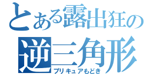 とある露出狂の逆三角形（プリキュアもどき）