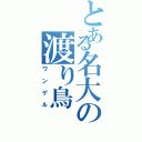 とある名大の渡り鳥（ワンゲル）