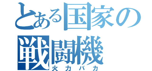 とある国家の戦闘機（火力バカ）