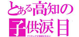 とある高知の子供涙目（プリキュアが放送されない）