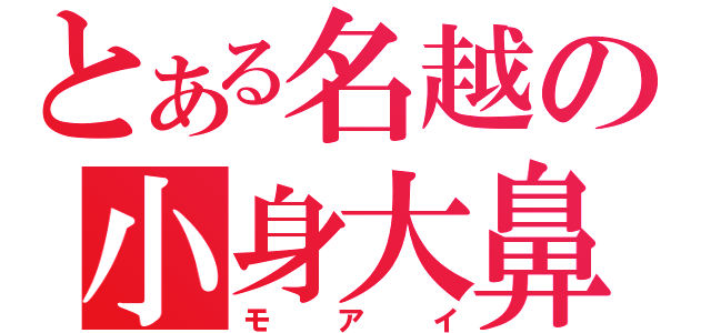 とある名越の小身大鼻（モアイ）