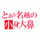 とある名越の小身大鼻（モアイ）