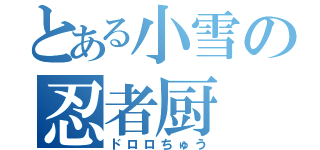 とある小雪の忍者厨（ドロロちゅう）