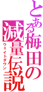 とある梅田の減量伝説Ⅱ（ウェイトダウン）