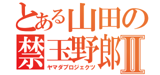 とある山田の禁玉野郎Ⅱ（ヤマダプロジェクツ）