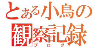 とある小鳥の観察記録（ブログ）