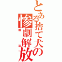 とある捨て犬の惨劇解放（婚活）