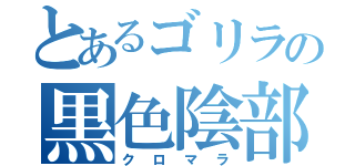 とあるゴリラの黒色陰部（クロマラ）