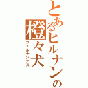 とあるヒルナンの橙々犬（フィルナンデス）