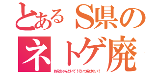 とあるＳ県のネトゲ廃人（お兄ちゃんどいて！そいつ殺せない！）