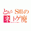 とあるＳ県のネトゲ廃人（お兄ちゃんどいて！そいつ殺せない！）