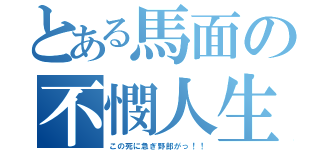 とある馬面の不憫人生（この死に急ぎ野郎がっ！！）