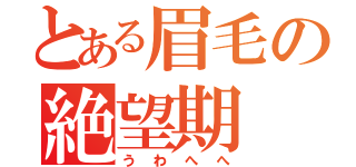 とある眉毛の絶望期（うわへへ）