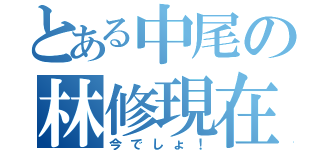 とある中尾の林修現在（今でしょ！）