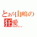 とある山嶋の狂愛（大好きだぁぁ‼）