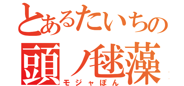 とあるたいちの頭ノ毬藻（モジャぽん）