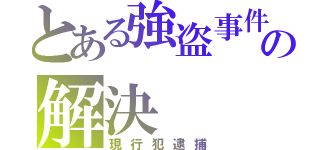 とある強盗事件の解決（現行犯逮捕）