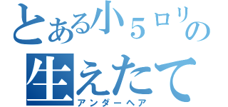 とある小５ロリの生えたて（アンダーヘア）