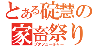 とある碇慧の家畜祭り（ブタフューチャー）