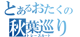 とあるおたくの秋葉巡り（トレースルート）