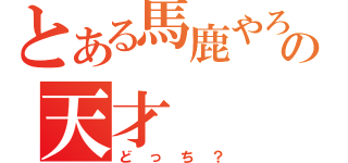 とある馬鹿やろうの天才（どっち？）