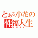 とある小花の性福人生（後宮大好）