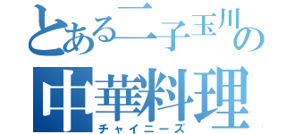 とある二子玉川の中華料理（チャイニーズ）