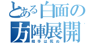 とある白面の方陣展開（相手は死ぬ）