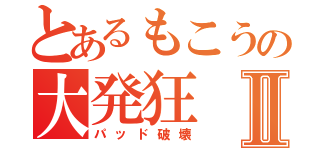 とあるもこうの大発狂Ⅱ（パッド破壊）