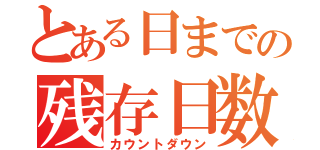 とある日までの残存日数（カウントダウン）