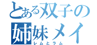 とある双子の姉妹メイド（レムとラム）