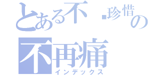 とある不懂珍惜の不再痛（インデックス）