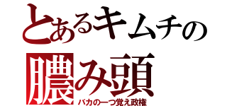 とあるキムチの膿み頭（バカの一つ覚え政権）