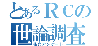 とあるＲＣの世論調査（街角アンケート）