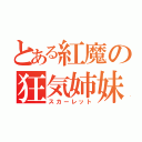 とある紅魔の狂気姉妹（スカーレット）