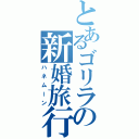 とあるゴリラの新婚旅行（ハネムーン）