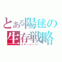 とある陽毬の生存戦略（イマージーン！）