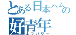 とある日本ハムの好青年（ホフパワー）