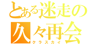 とある迷走の久々再会（クラスカイ）