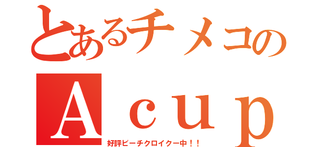 とあるチメコのＡｃｕｐ（好評ビーチクロイクー中！！）